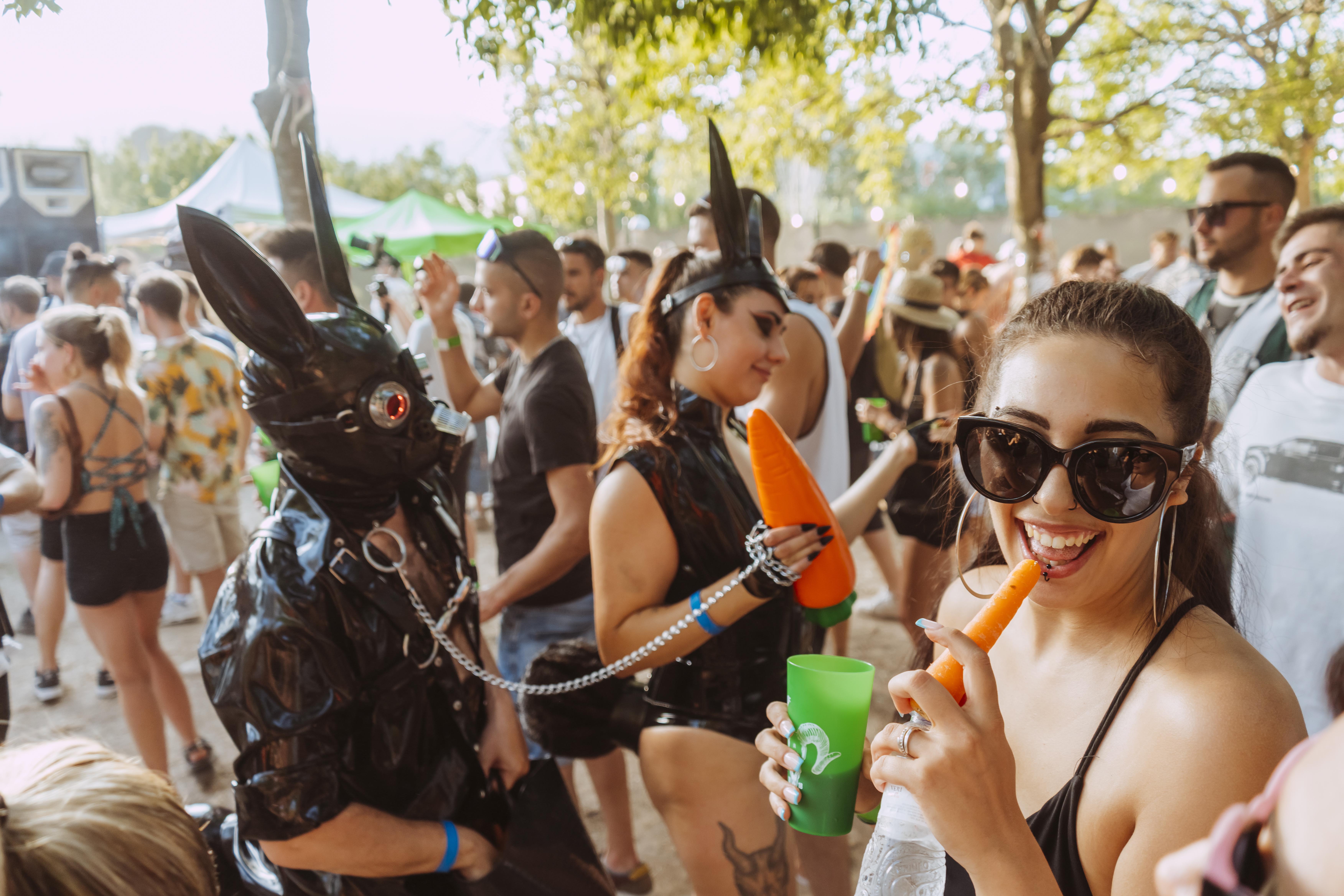 conejos